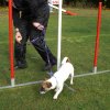 agility 2011-10-30